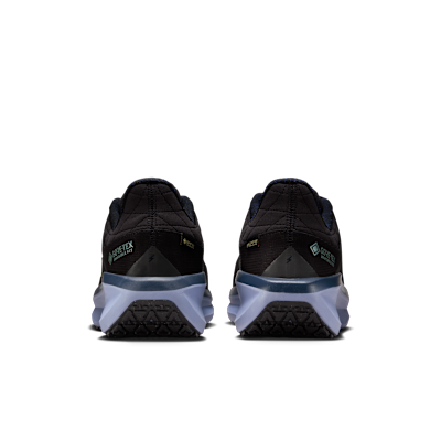 Nike Winflo 11 GORE-TEX