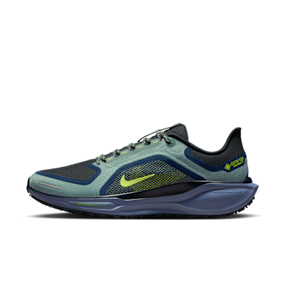 Nike Pegasus 41 GORE-TEX