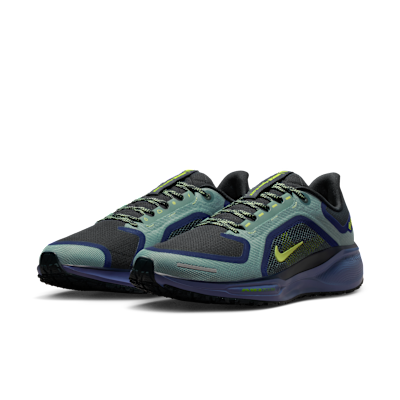 Nike Pegasus 41 GORE-TEX